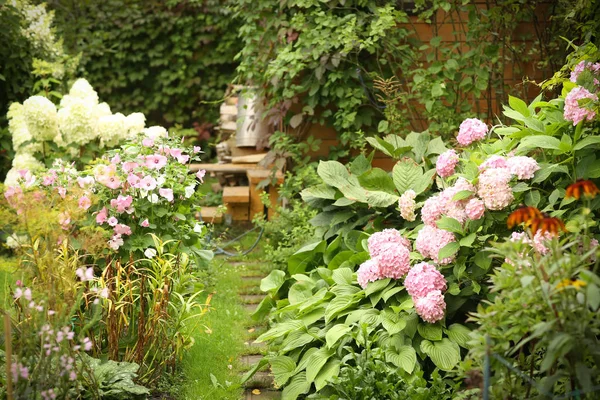 formal garden with hydrangea flowers, gladiolus, flox and wood s