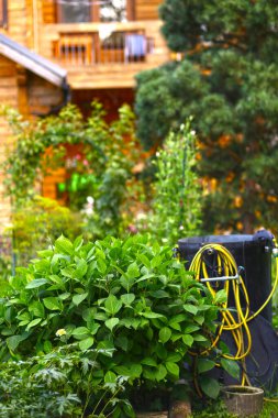 Su çıkışlı güzel bir bahçe.