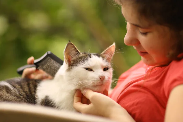 Foto ensolarada de adolescente menina grooming gato com escova — Fotografia de Stock