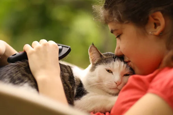 Foto ensolarada de adolescente menina grooming gato com escova Imagem De Stock