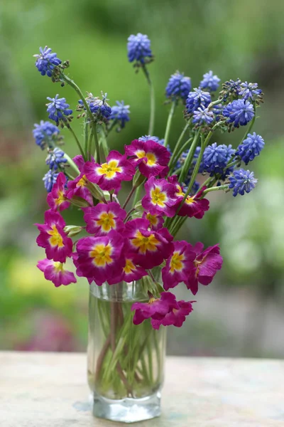 Violet Karmozijn Blauwe Bloemen Boeket Closeup Foto Zomer Groene Achtergrond — Stockfoto