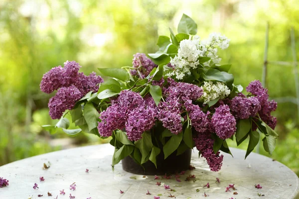 Violet Lilac Flowers Rain Drops Close Photo — Stock Photo, Image