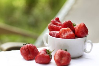 Sağlıklı kahvaltı - kasedeki çilekler yeşil çimen arka planda yakın fotoğraf