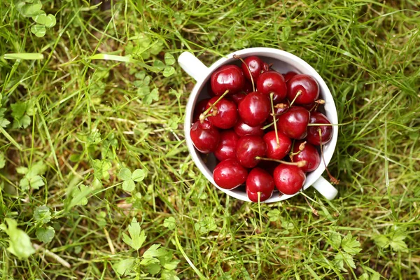 Healthy Breakfast Sweet Cherry Bowl Close Photo Green Grass Background — Stock Photo, Image