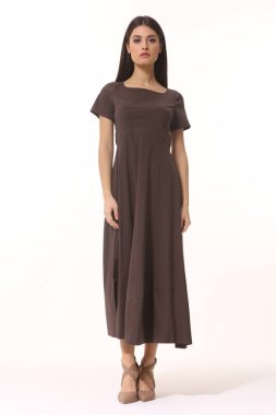 Hintli iş kadını yönetici kahverengi uzun etekli yaz elbisesi giyiyordu. Vücut uzunluğu bembeyazdı.