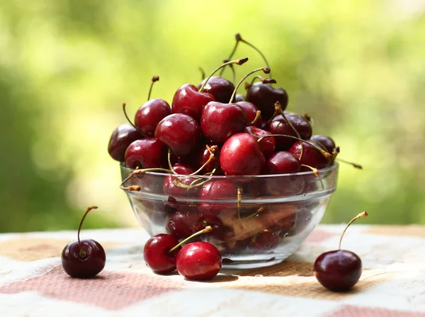 Sweet cherry in bowl close up photo on green grass background — Stock Photo, Image