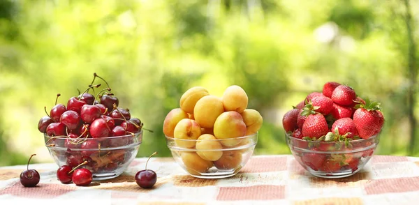 Gezond eten - aardbeien en zoete kersenabrikozen fruit in schaal close-up foto op groen gras — Stockfoto