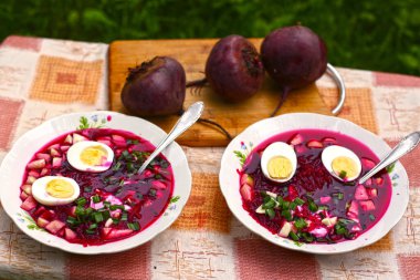 Salatalıklı pancar çorbası, haşlanmış yumurta, yeşil soğan, sarımsak ve ekşi krema yakın çekim fotoğrafı.