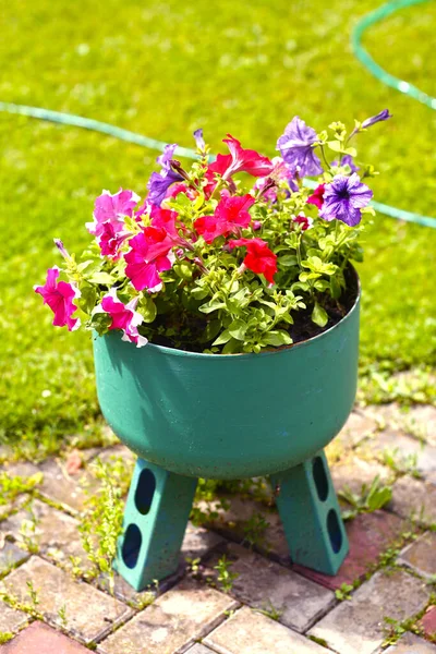 Dekorative Stahlblumenvase Mit Petunienblüten Auf Dem Grünen Rasenhintergrund — Stockfoto