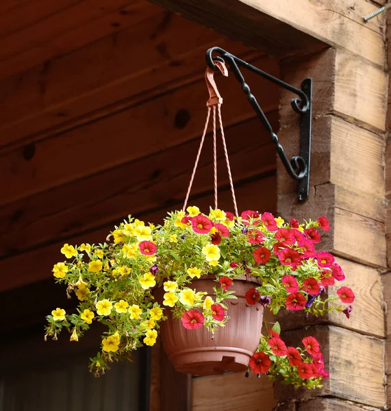 Blumenkorb Hängen Auf Landhaus Veranda Nahaufnahme Foto — Stockfoto
