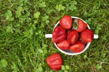 Sağlıklı kahvaltı - kasedeki çilekler yeşil çimen arka planda yakın fotoğraf