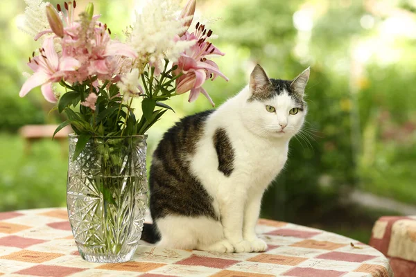 Country funny cat outdoor closeup photo relaxing on table with lily bouquet — Stock Photo, Image