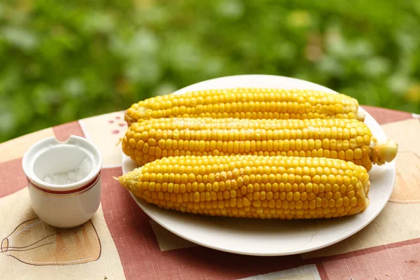 Gotowane Dojrzałe Kolby Kukurydzy Solą Zbliżenie Zdjęcie Płycie Zielonym Tle — Zdjęcie stockowe
