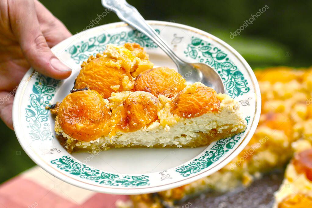 apricot pie with cottage cheese one serving on plate with holding human hand close up photo