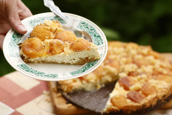 Apricot Pie Cottage Cheese One Serving Plate Holding Human Hand — Stock Photo, Image