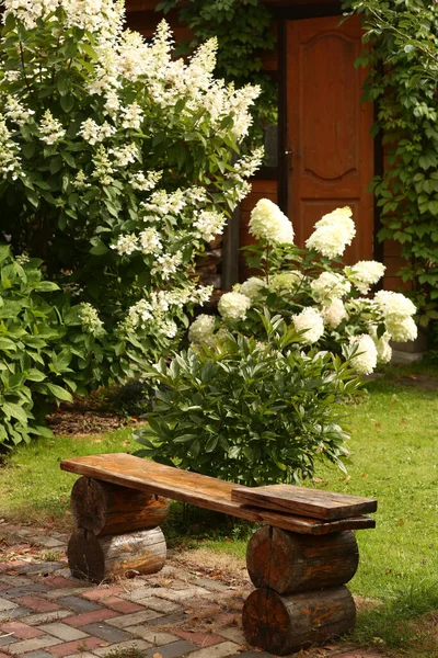 Bellissimo Giardino Europeo Con Mattonelle Panca Legno Tronco Cespuglio Ortensia — Foto Stock