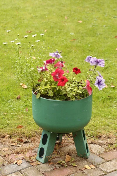 Decoratieve Stalen Bloem Vaas Met Petunia Bloemen Groene Gazon Achtergrond — Stockfoto