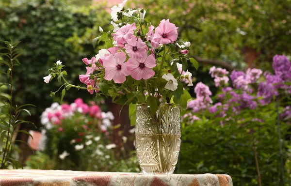Roze Witte Bloemen Boeket Kristallen Vaas Close Foto Groene Tuin — Stockfoto