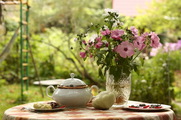 Wieś Outdoor Martwa Natura Tureen Patisson Tłuczone Ziemniaki Pomidory Sosem — Zdjęcie stockowe