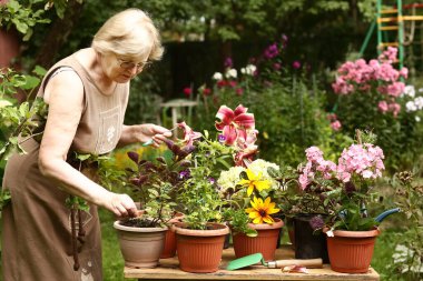 Güzel emekli kadın çiçekçi yeşil bahçe arka planındaki saksı bitkileriyle ilgilen. 