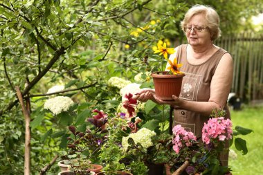 Kırmızı zambak çiçeği ot bitkilerinin ve yeşil yaz bahçesi arka planının fotoğrafını kapat.