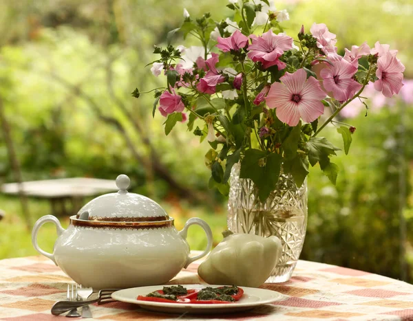 Campagne Nature Morte Plein Air Avec Tureen Pâtisson Purée Pomme — Photo