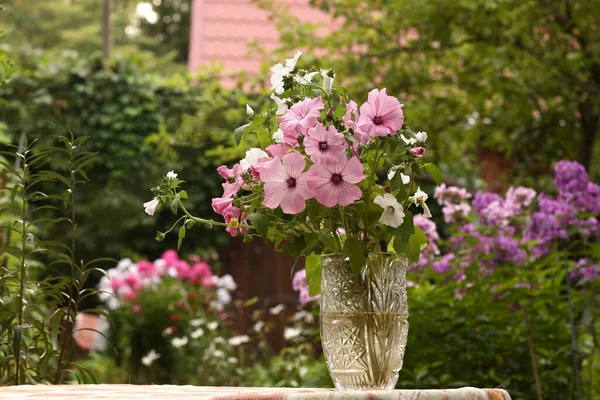 Rózsaszín Fehér Lavatera Virágok Csokor Kristály Vázában Közelkép Zöld Kert — Stock Fotó