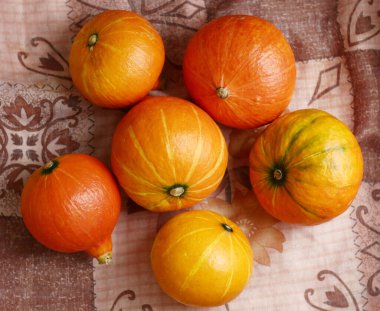 Küçük balkabağım, Cadılar Bayramı 'nda çekilen fotoğraf.