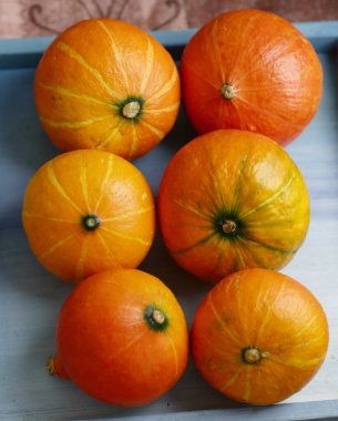 Küçük balkabağım, Cadılar Bayramı 'nda çekilen fotoğraf.