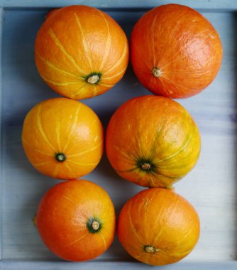 Küçük balkabağım, Cadılar Bayramı 'nda çekilen fotoğraf.