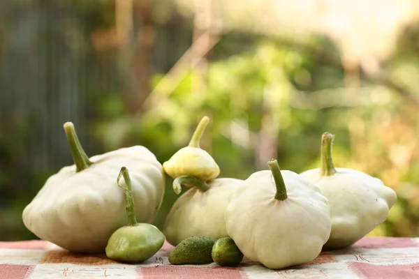 Patisson Bush Pumpkin Lay Table Outdoor Still Life Fall Garden — Stock Photo, Image