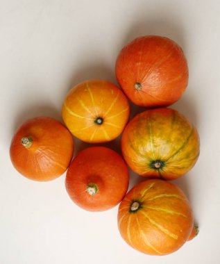 Küçük balkabağım, Cadılar Bayramı 'nda hala hayattasın.