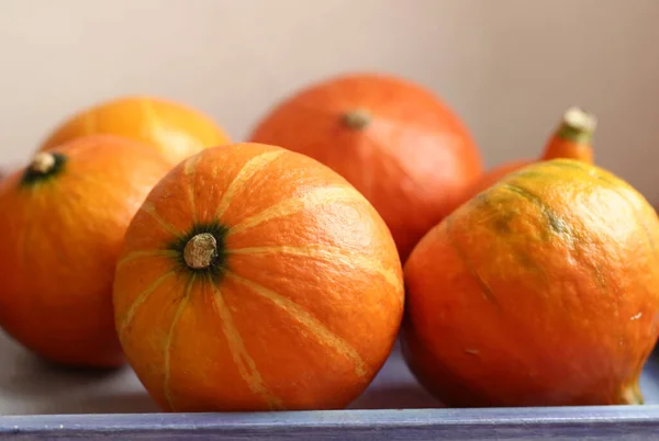 Kleine Pompoen Stilleven Halloween Close Foto — Stockfoto