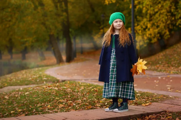 Petite Fille Irlandaise Photo Plein Air Sur Fond Paysage Automne — Photo