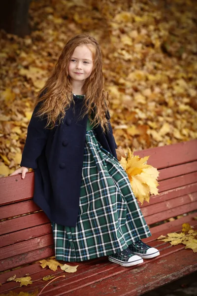 Irlandés Niña Aire Libre Foto Fondo Del Paisaje Otoño Foto — Foto de Stock