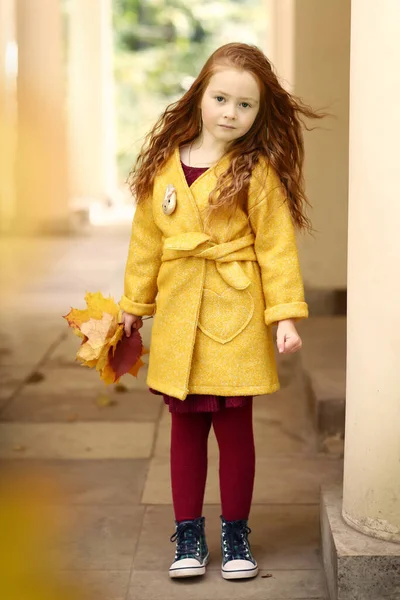 Irlandaise Petite Fille Aux Cheveux Roux Photo Automne Plein Air — Photo