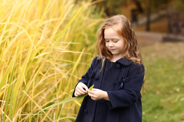 Irish Little Girl Outdoor Photo Fall Landscape Background High Quality — Stock Photo, Image
