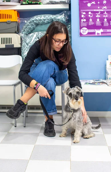 Πελάτης που περιμένει με το κατοικίδιο της σε μια κτηνιατρική κλινική — Φωτογραφία Αρχείου