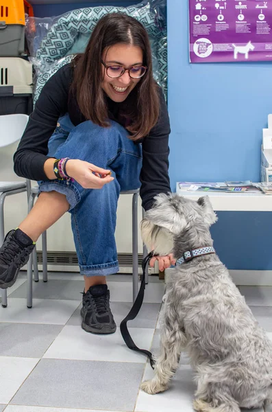 Client waiting with her pet in a veterinary clinic — Stock Photo, Image