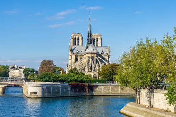 Notre Dame Katedrali ve Seine Nehri manzarası