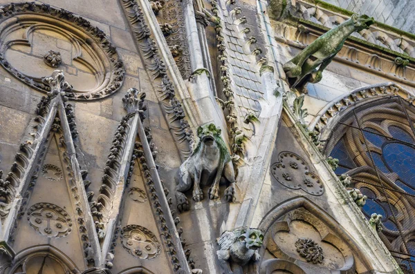 Torn och Gargoyles av Notre Dame. — Stockfoto
