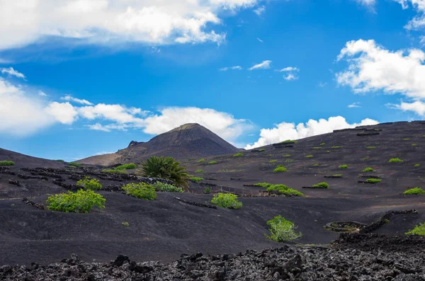 Landschap van vulkanen en gestijde lava in Timanfaya National Park — Stockfoto