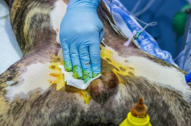 İyot povison ile cerrahi alanın temizlenmesi