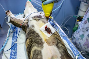 İyot povison ile cerrahi alanın temizlenmesi