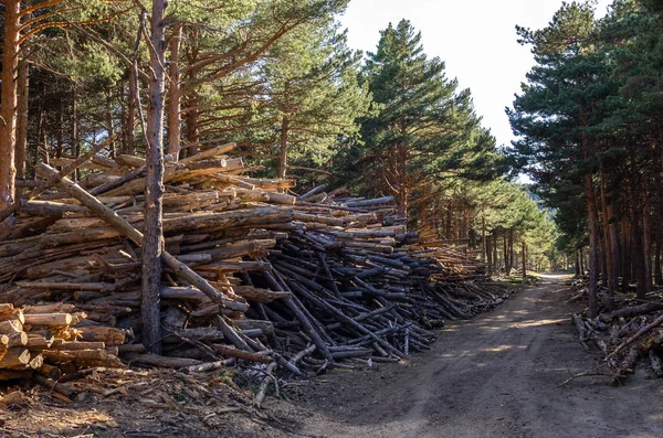 Hortumlar, onları bir kamyonla pelete çevirmek için yığılmış.