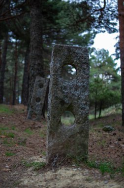 Orman arasında taş menhirler