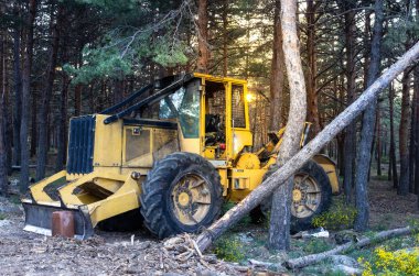 Ormancılık işi yaptıktan sonra orman ağaçları arasında buldozer