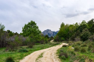 Path to the edge of the forest with a mountain range in the background