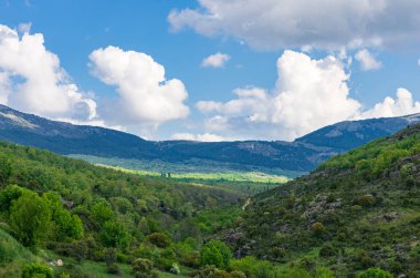 İlkbaharda bir dağ vadisinin manzarası