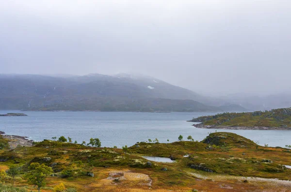 Laghi, prati e montagne innevate dell'altopiano norvegese di hardangervidda in estate — Foto Stock